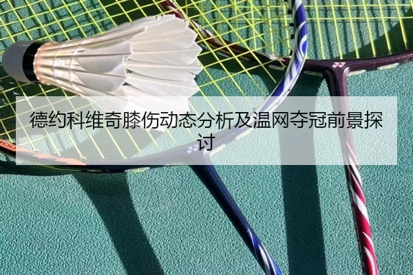 德约科维奇膝伤动态分析及温网夺冠前景探讨