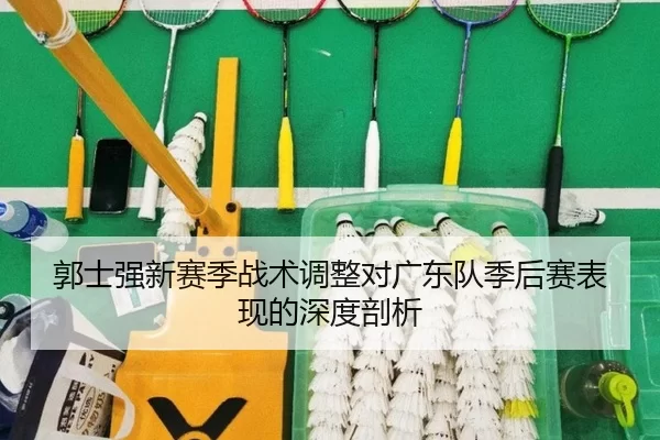 郭士强新赛季战术调整对广东队季后赛表现的深度剖析