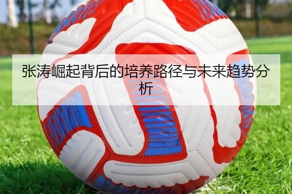 张涛崛起背后的培养路径与未来趋势分析